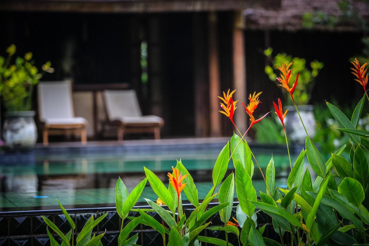 Azalea Village Chiang Dao Dış mekan fotoğraf